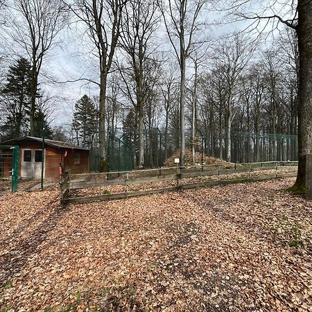Hochwald Lodge Morbach Eksteriør bilde